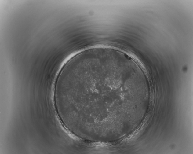 X0000095510862200712211238