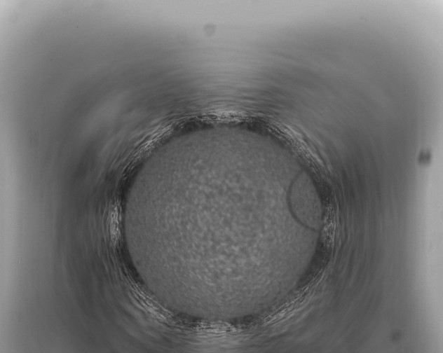 X0000095510866200712211238