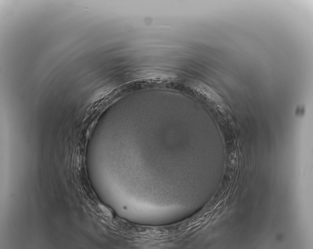 X0000095510869200712211238