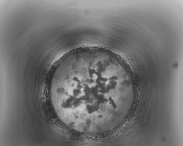 X0000095510871200712211238