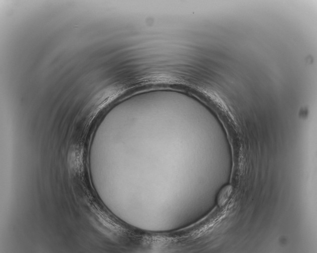 X0000095510873200712211238