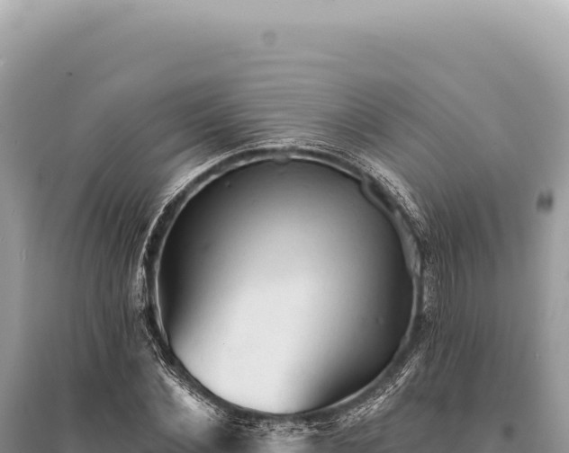 X0000095510876200712211238