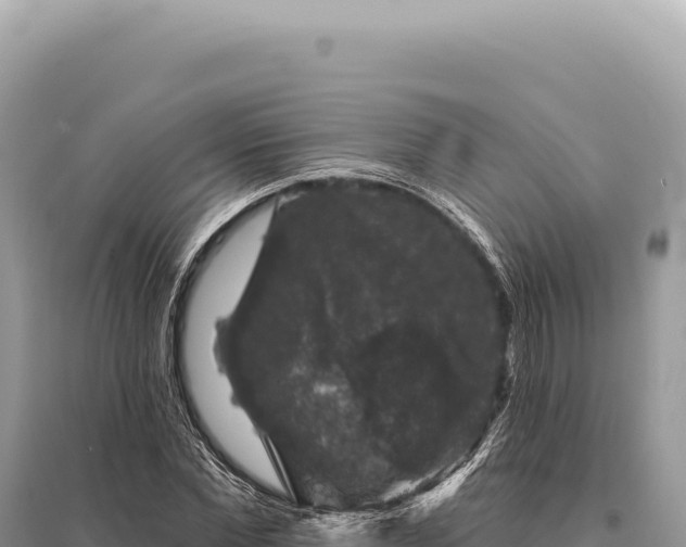 X0000095510877200712211238