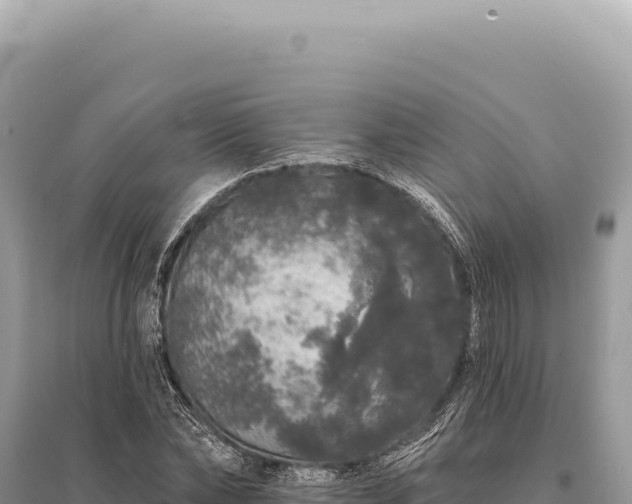 X0000095510878200712211238