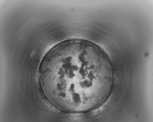 X0000095510879200712211238