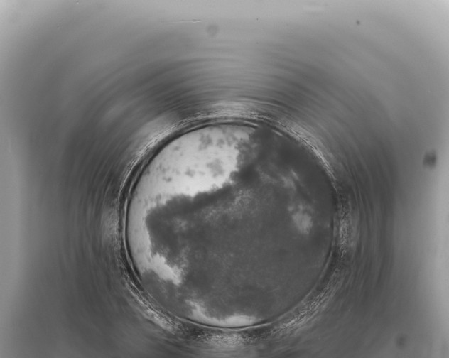 X0000095510882200712211237