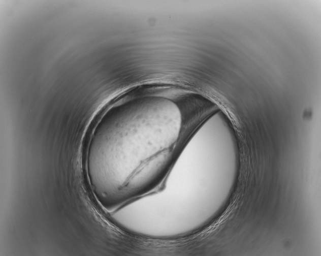 X0000095510884200712211237