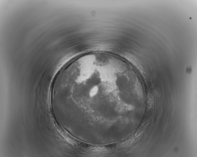 X0000095510886200712211237