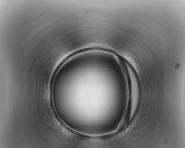 X0000095510888200712211237