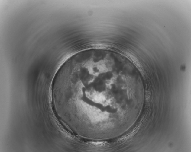 X0000095510891200712211237
