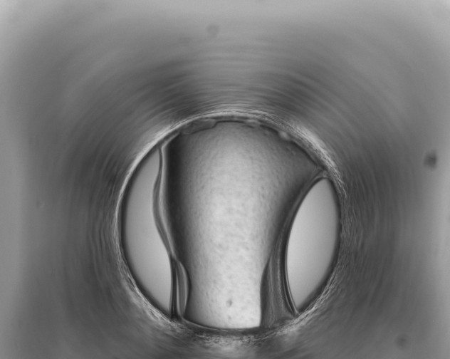 X0000095510892200712211237
