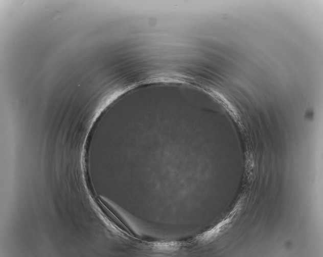 X0000095510893200712211237