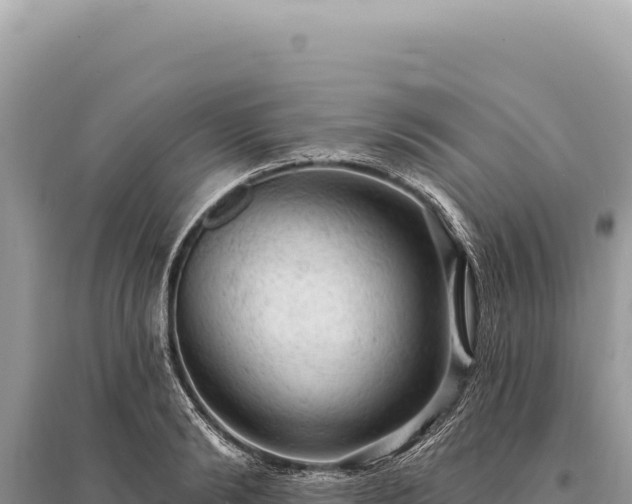 X0000095510894200712211237