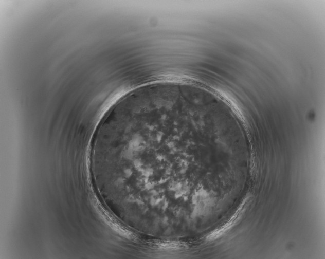 X0000095510899200712211237
