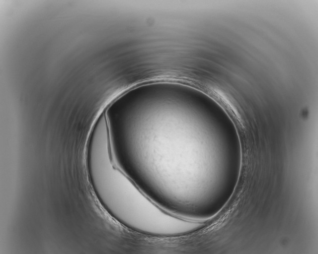 X0000095510900200712211237