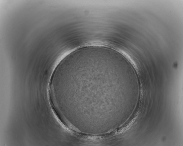 X0000095510901200712211237