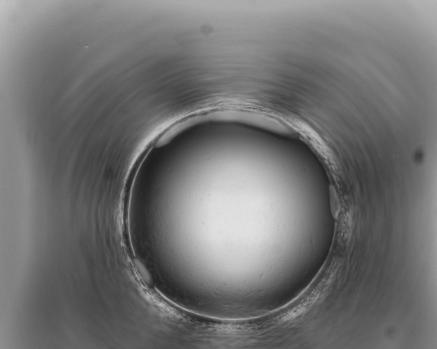 X0000095510904200712211237