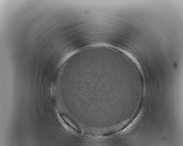 X0000095510905200712211237