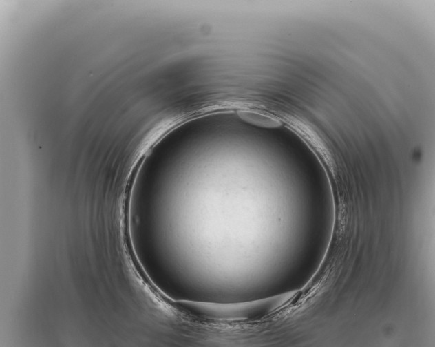 X0000095510906200712211237