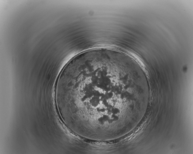X0000095510907200712211237