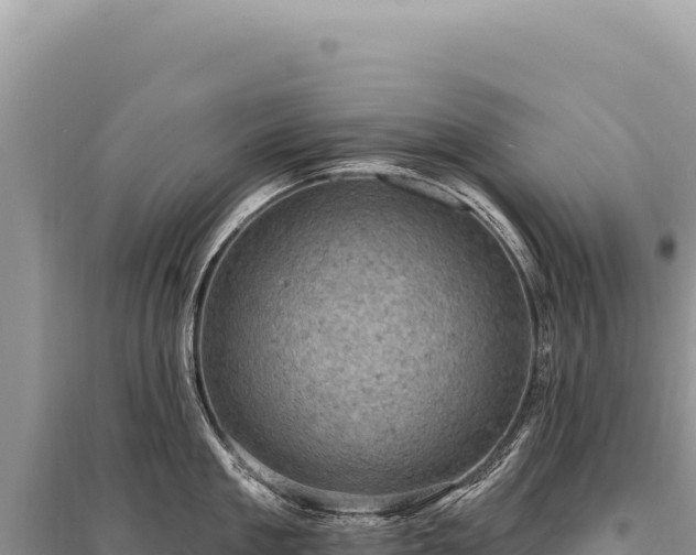 X0000095510909200712211237