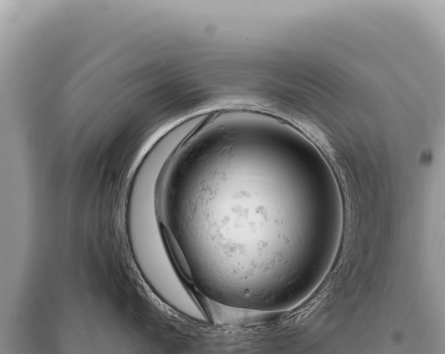 X0000095510912200712211237