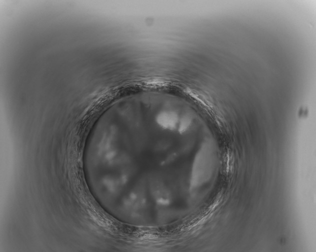 X0000095510913200712211236