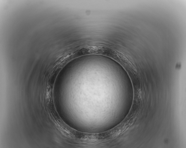 X0000095510914200712211236