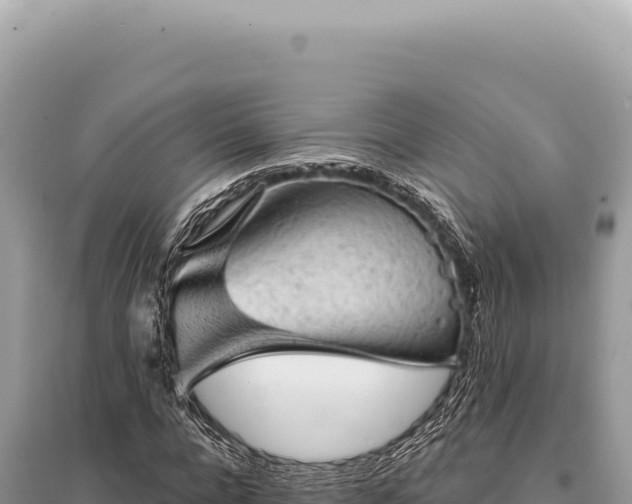 X0000095510920200712211236