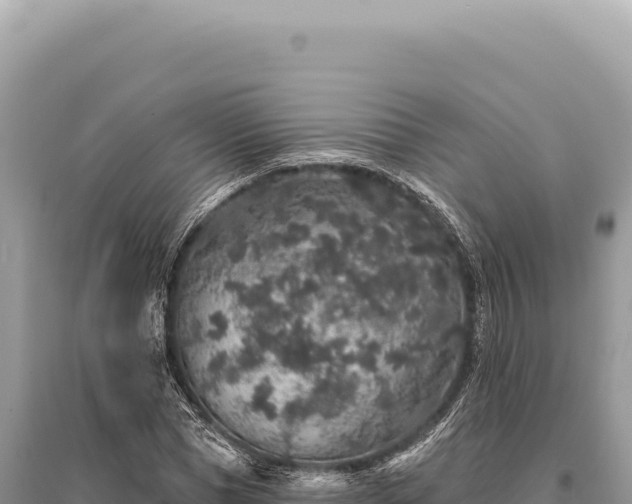X0000095510921200712211237