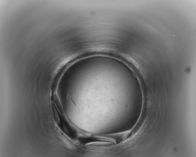 X0000095510922200712211237