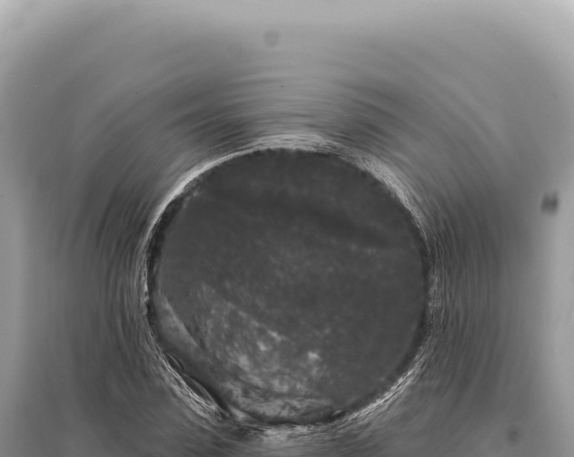X0000095510923200712211237