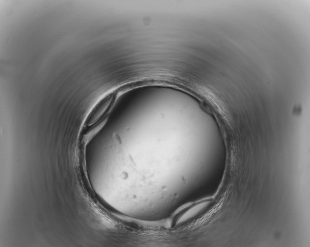 X0000095510924200712211237