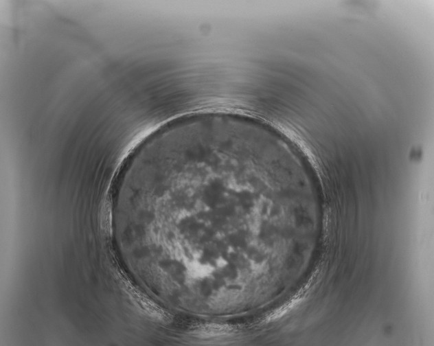 X0000095510925200712211237
