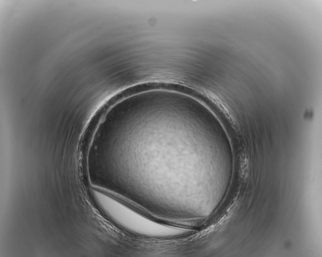 X0000095510926200712211237