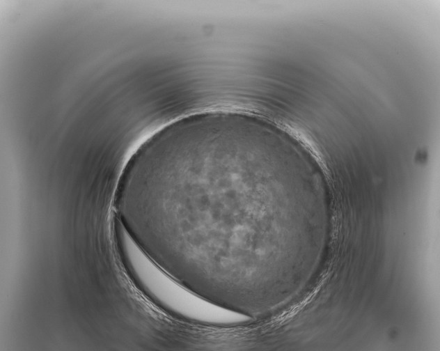 X0000095510928200712211237