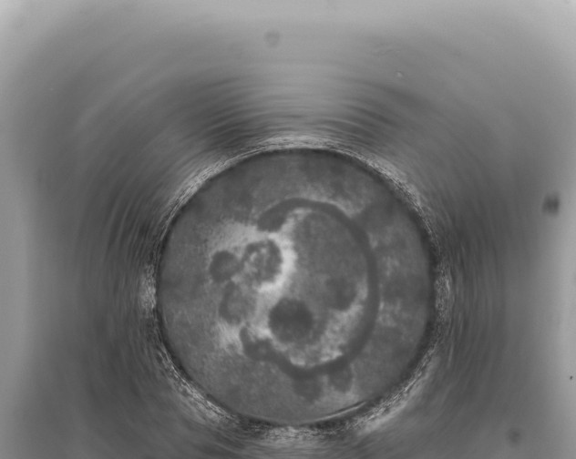 X0000095510929200712211237