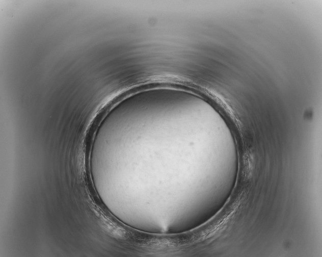 X0000095510931200712211237