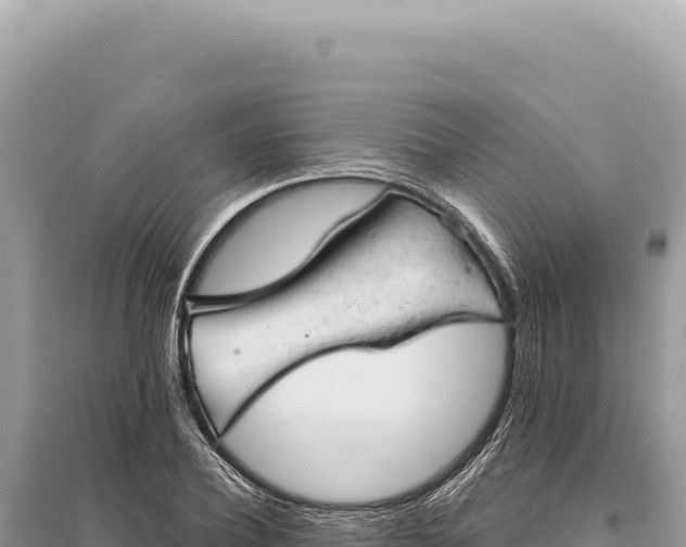 X0000095510932200712211237