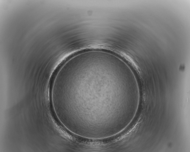 X0000095510934200712211237