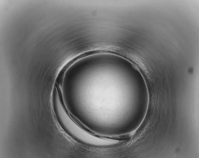 X0000095510936200712211237