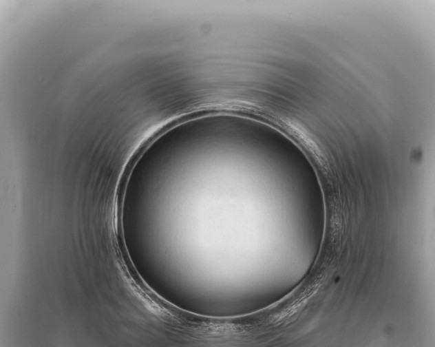 X0000095510940200712211237
