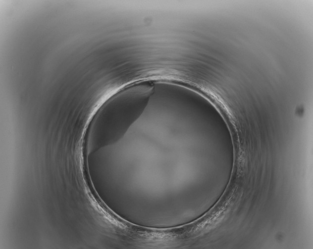 X0000095510941200712211237