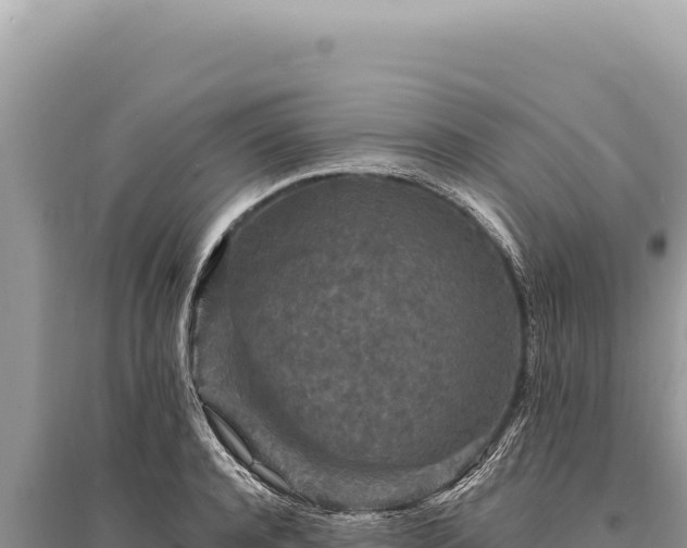 X0000095510944200712211237