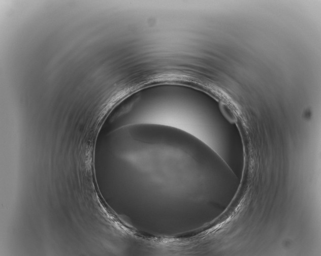 X0000095510945200712211237
