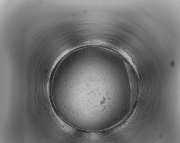 X0000095510947200712211237