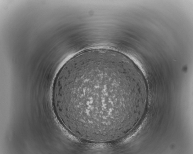 X0000095510949200712211237