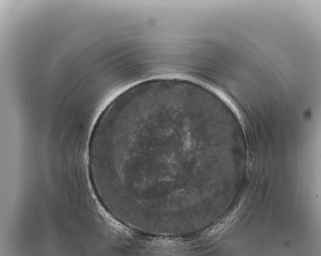 X0000095510951200712211237