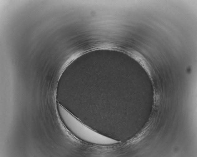 X0000095510954200712211237