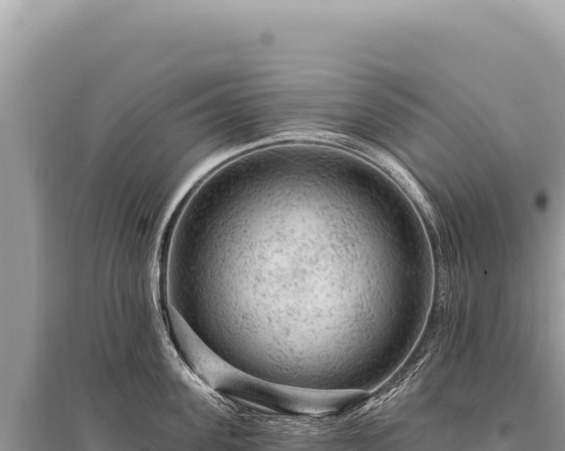 X0000095510955200712211237